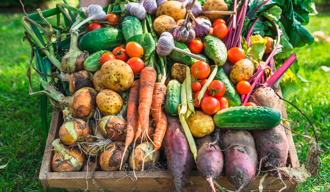 Farm_crate_with_vegetables